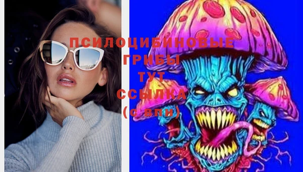 индика Лиски